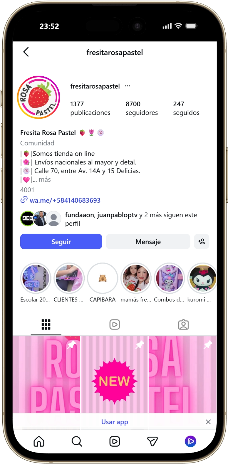 Instagram Profile Preview
